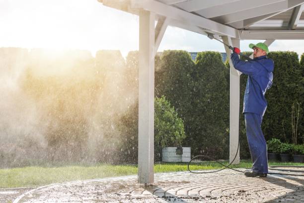 Best Fleet Vehicle Washing  in Mantachie, MS